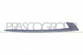 PRASCO - ORNAMENT CROM GRILA DR F10 2013 >>